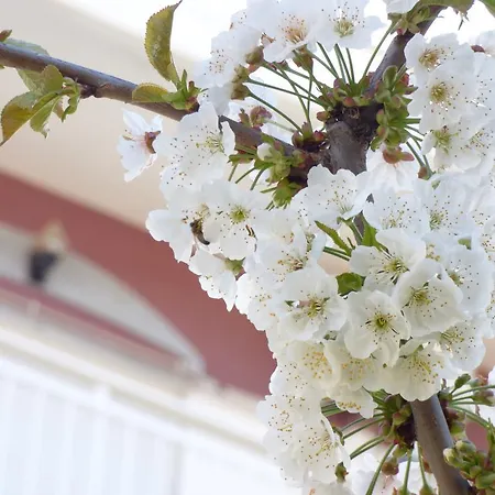 Triada 2* يميناريا