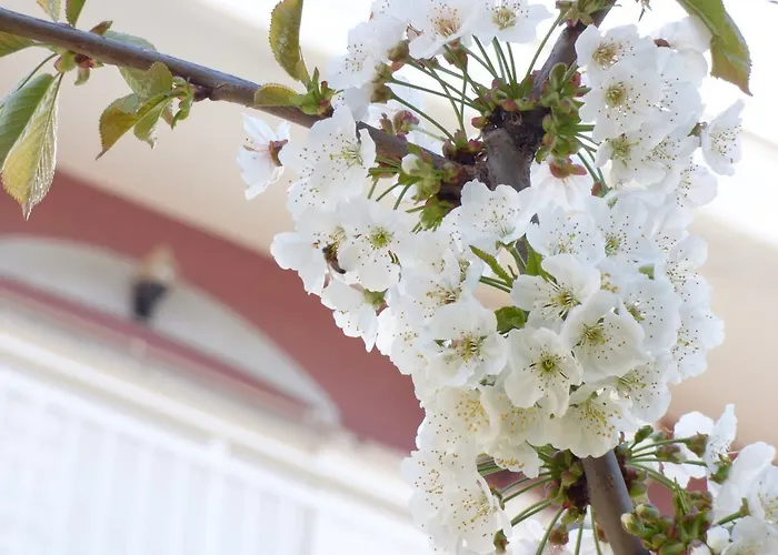 Triada 2* Limenaria (Thasos)